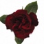 Box of Roses Hearts 40-50cm